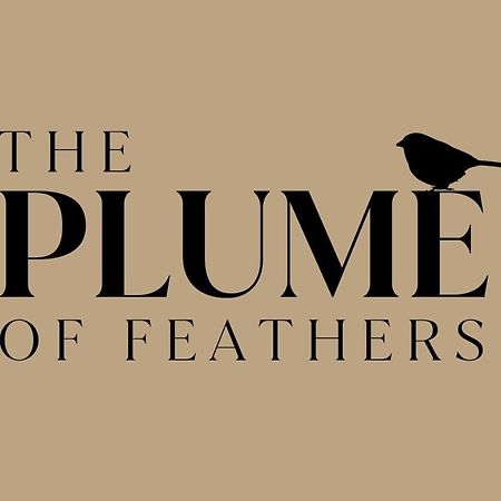 The Plume Of Feathers Farnham  Exterior foto